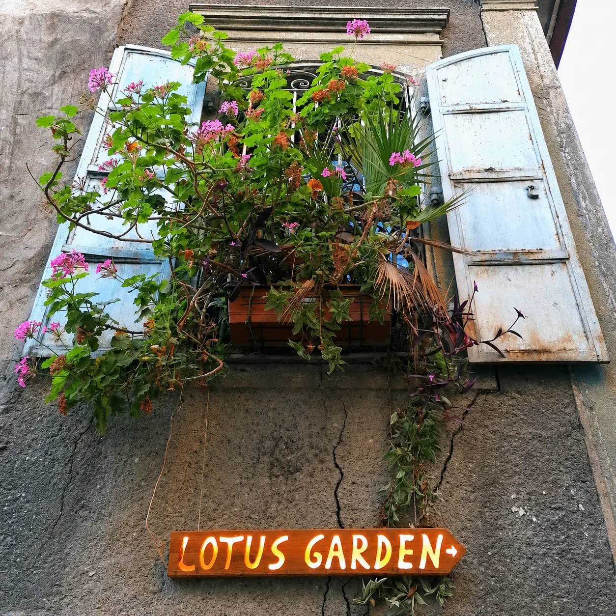Lotus Garden Hostel